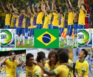 yapboz Brezilya Kupası FIFA Konfederasyonlar 2013